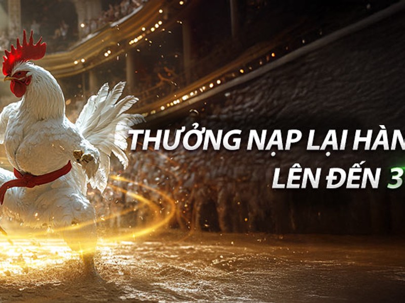 Đá Gà Trực Tuyến ev88 Bet