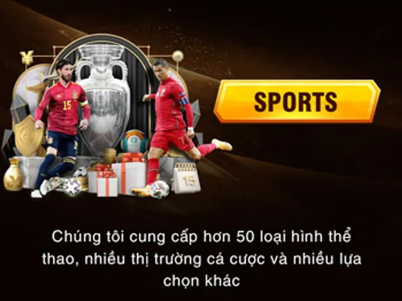 Hoàn trả thể thao ev88 bet