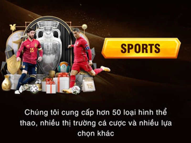 Cá Cược Thể Thao ev88 Bet